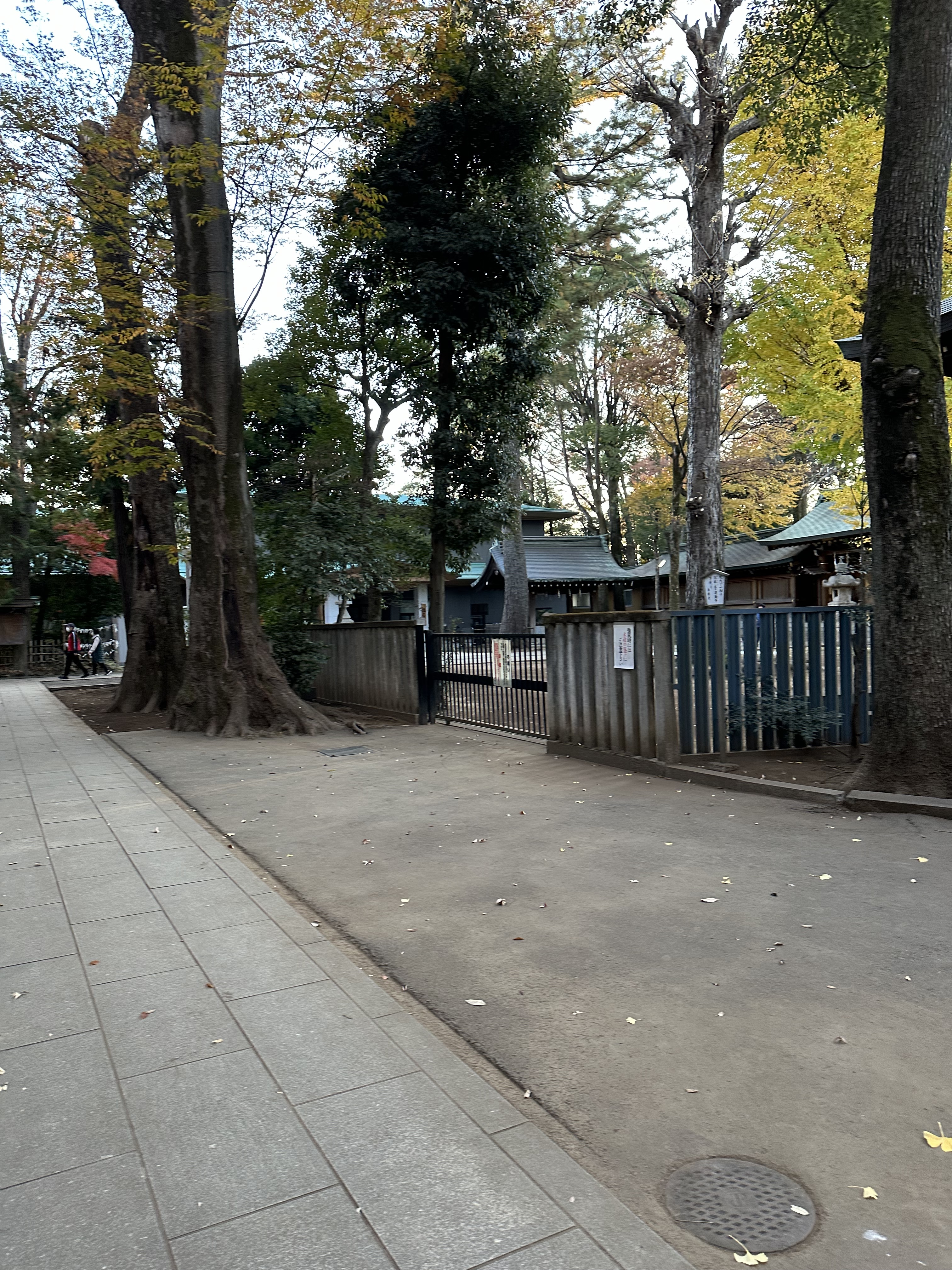 荻窪神社